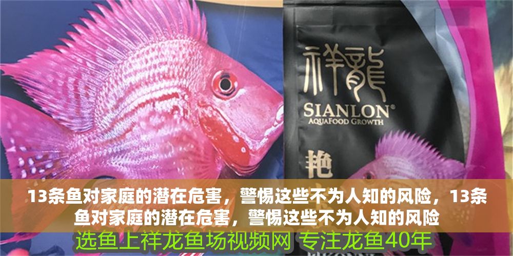 13條魚對家庭的潛在危害，警惕這些不為人知的風險，13條魚對家庭的潛在危害，警惕這些不為人知的風險