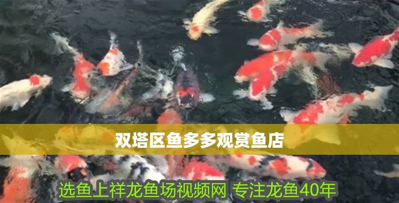 雙塔區魚多多觀賞魚店