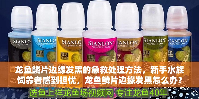 龍魚鱗片邊緣發黑的急救處理方法，新手水族飼養者感到擔憂，龍魚鱗片邊緣發黑怎么辦？