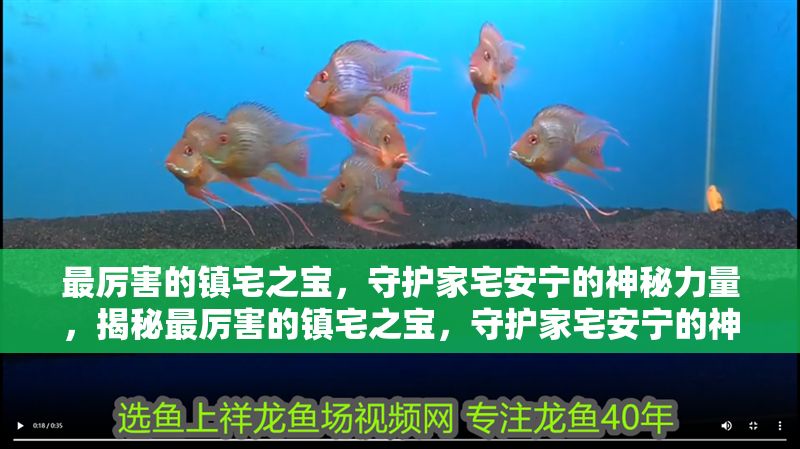 最厲害的鎮宅之寶，守護家宅安寧的神秘力量，揭秘最厲害的鎮宅之寶，守護家宅安寧的神秘力量