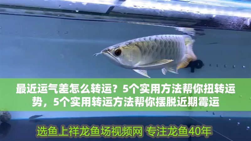 最近運氣差怎么轉運？5個實用方法幫你扭轉運勢，5個實用轉運方法幫你擺脫近期霉運
