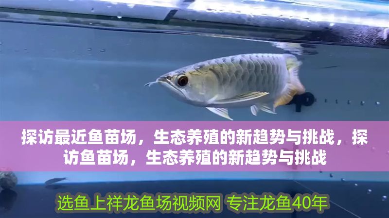 探訪最近魚苗場，生態養殖的新趨勢與挑戰，探訪魚苗場，生態養殖的新趨勢與挑戰