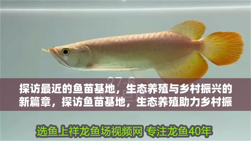 探訪最近的魚苗基地，生態養殖與鄉村振興的新篇章，探訪魚苗基地，生態養殖助力鄉村振興