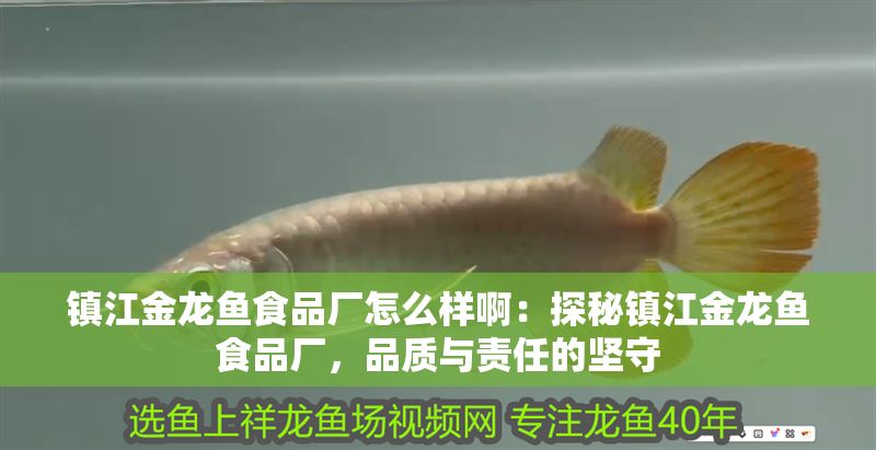 鎮(zhèn)江金龍魚食品廠怎么樣啊：探秘鎮(zhèn)江金龍魚食品廠，品質(zhì)與責(zé)任的堅(jiān)守