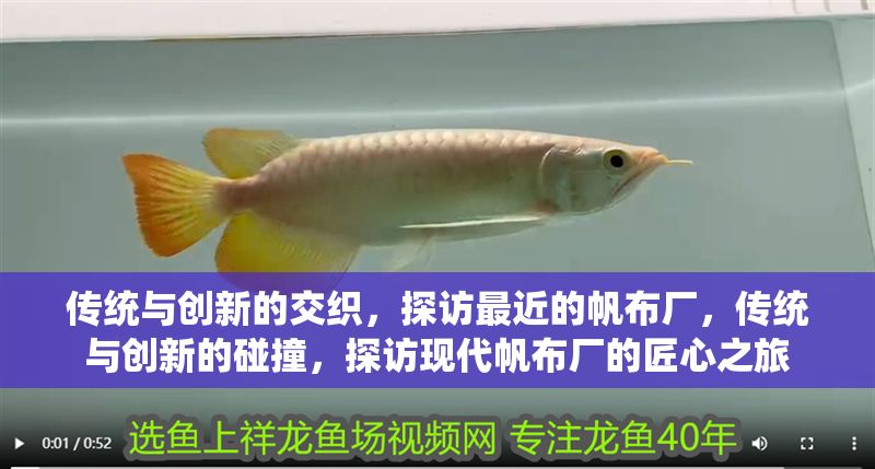 傳統(tǒng)與創(chuàng)新的交織，探訪最近的帆布廠，傳統(tǒng)與創(chuàng)新的碰撞，探訪現(xiàn)代帆布廠的匠心之旅