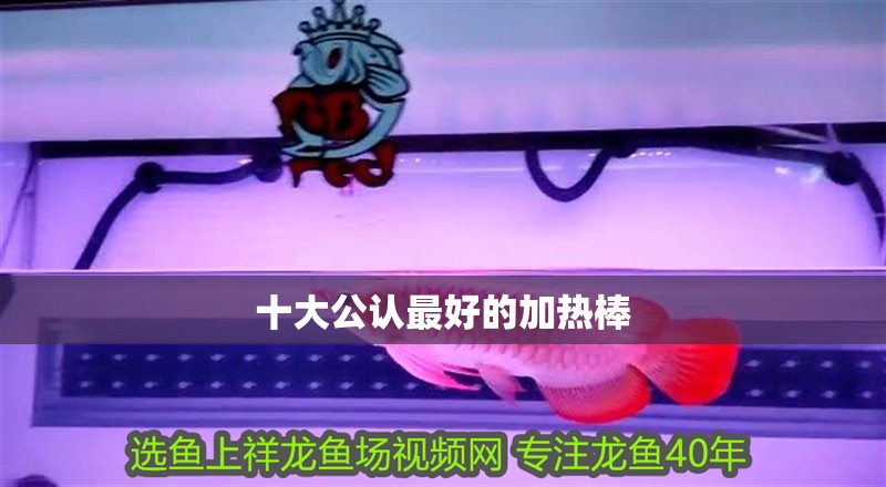 十大公認(rèn)最好的加熱棒