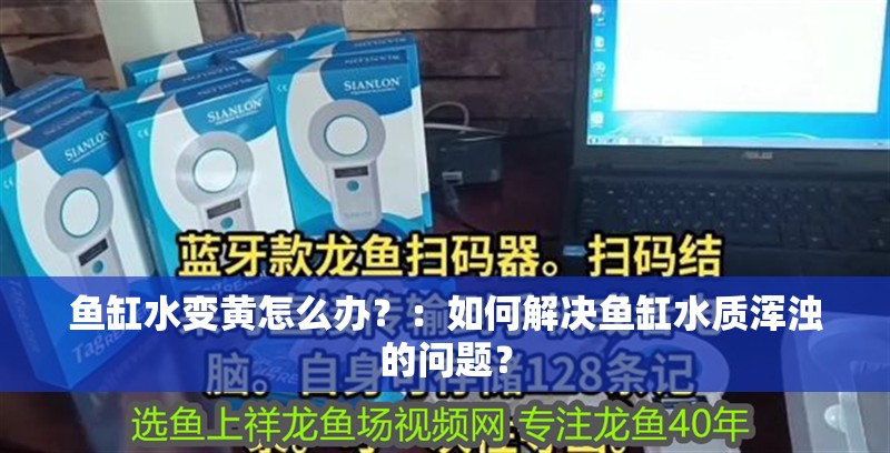 魚缸水變黃怎么辦？：如何解決魚缸水質渾濁的問題？