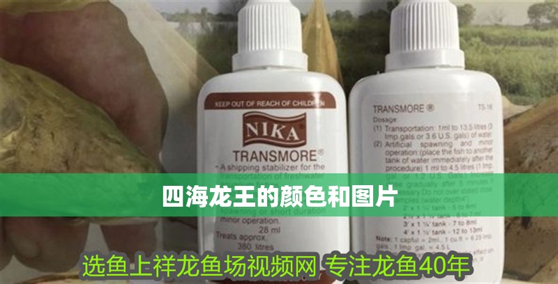 四海龍王的顏色和圖片