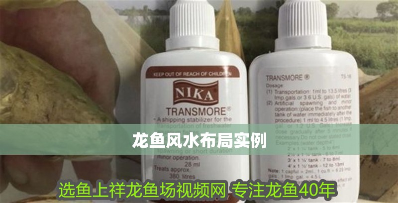 龍魚風水布局實例