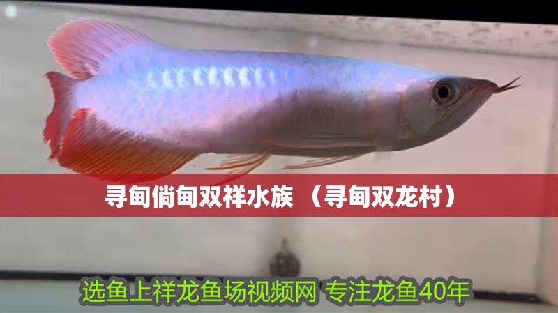 尋甸倘甸雙祥水族 （尋甸雙龍村）
