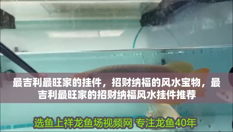 最吉利最旺家的掛件，招財(cái)納福的風(fēng)水寶物，最吉利最旺家的招財(cái)納福風(fēng)水掛件推薦