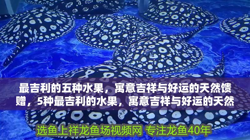 最<strong><mark>吉利</mark></strong>的五種水果，寓意吉祥與好運的天然饋贈，5種最<strong><mark>吉利</mark></strong>的水果，寓意吉祥與好運的天然饋贈