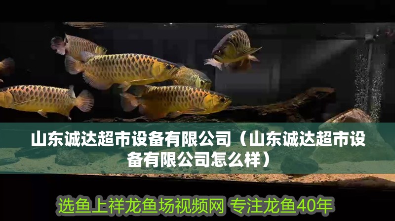 山東誠達(dá)超市設(shè)備有限公司（山東誠達(dá)超市設(shè)備有限公司怎么樣）