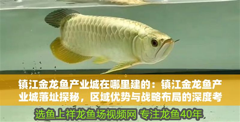 鎮江金龍魚產業城在哪里建的：鎮江金龍魚產業城落址探秘，區域優勢與戰略布局的深度考量