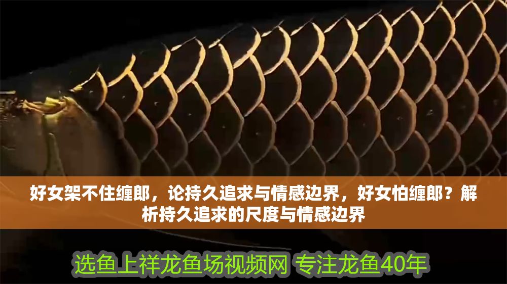 詳細(xì)閱讀:好女架不住纏郎,論持久追求與情感邊界,好女怕纏郎?解析持久追求的尺度與情感邊界 好女架不住纏郎,論持久追求與情感邊界,好女怕纏郎?解析持久追求的尺度與情感邊界