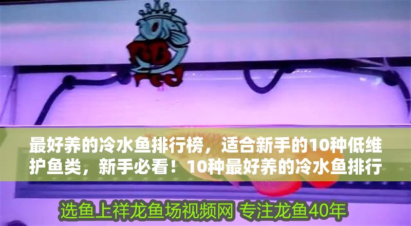 最好養(yǎng)的冷水魚排行榜，適合新手的10種低維護魚類，新手必看！10種最好養(yǎng)的冷水魚排行榜，低維護易上手