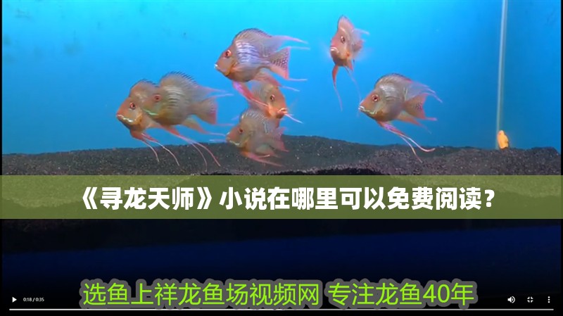 《尋龍天師》小說在哪里可以免費閱讀？