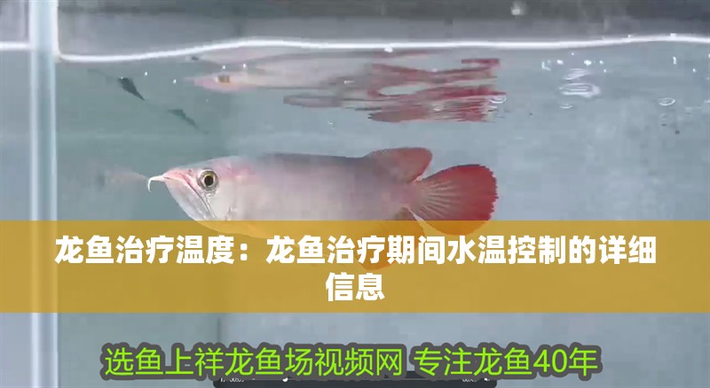 龍魚治療溫度：龍魚治療期間水溫控制的詳細信息