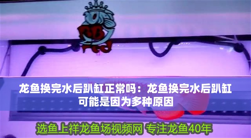 龍魚換完水后趴缸正常嗎：龍魚換完水后趴缸可能是因為多種原因