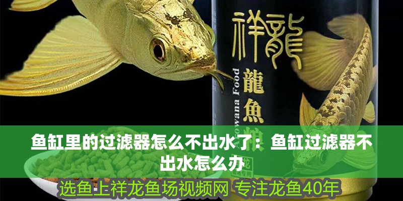 魚缸里的過濾器怎么不出水了：魚缸過濾器不出水怎么辦