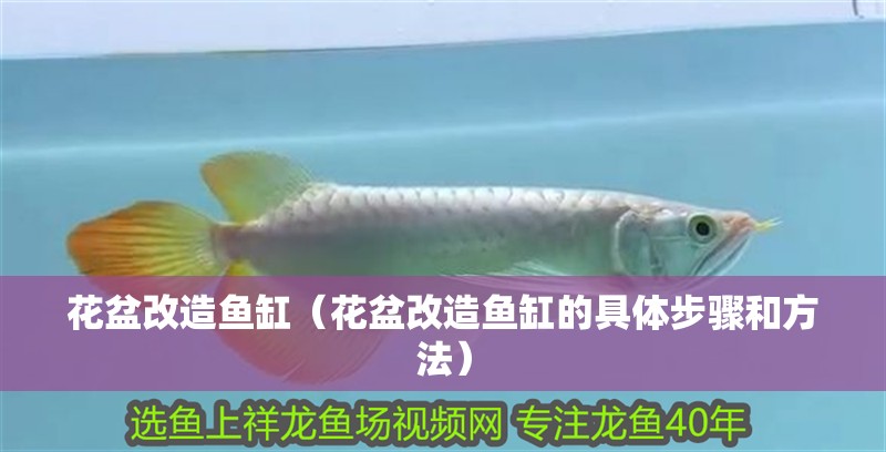 花盆改造魚缸（花盆改造魚缸的具體步驟和方法） 花盆改造魚缸（花盆改造魚缸的具體步驟和方法） 魚缸百科