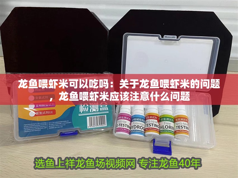 龍魚喂蝦米可以吃嗎：關于龍魚喂蝦米的問題，龍魚喂蝦米應該注意什么問題