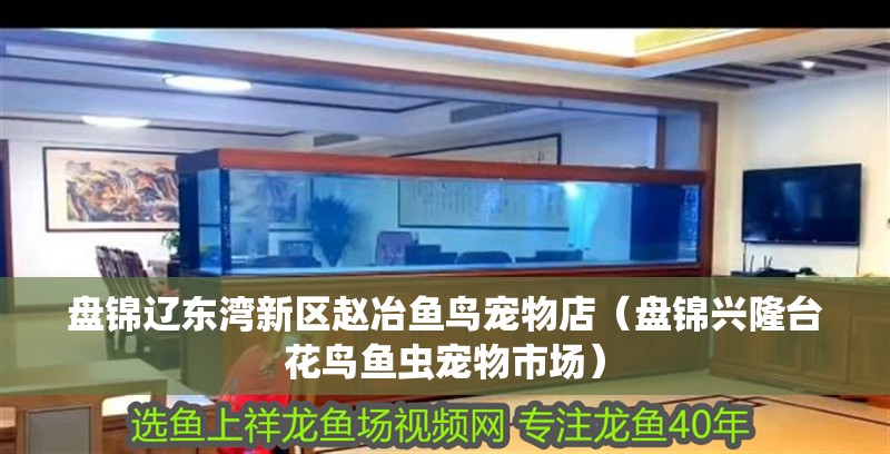 盤錦遼東灣新區(qū)趙冶魚鳥寵物店（盤錦興隆臺(tái)花鳥魚蟲寵物市場(chǎng)）
