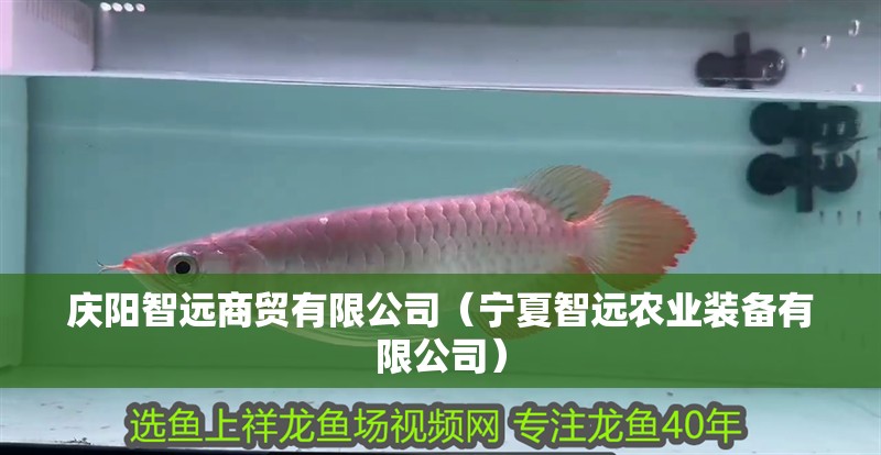 慶陽(yáng)智遠(yuǎn)商貿(mào)有限公司（寧夏智遠(yuǎn)農(nóng)業(yè)裝備有限公司）