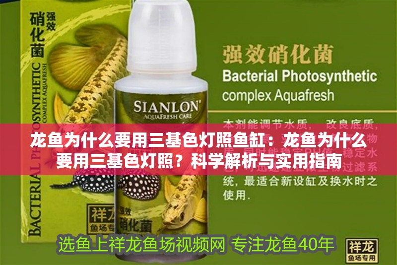 龍魚為什么要用三基色燈照魚缸：龍魚為什么要用三基色燈照？科學解析與實用指南
