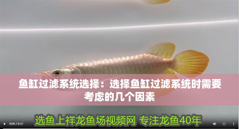 魚缸過濾系統(tǒng)選擇：選擇魚缸過濾系統(tǒng)時需要考慮的幾個因素