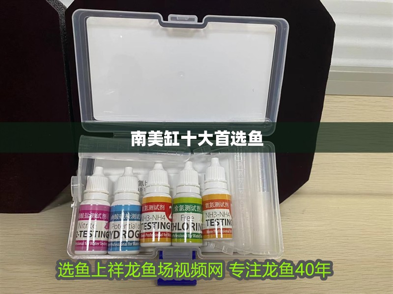 南美缸十大首選魚(yú)
