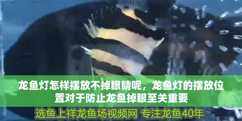 龍魚燈怎樣擺放不掉眼睛呢，龍魚燈的擺放位置對于防止龍魚掉眼至關(guān)重要