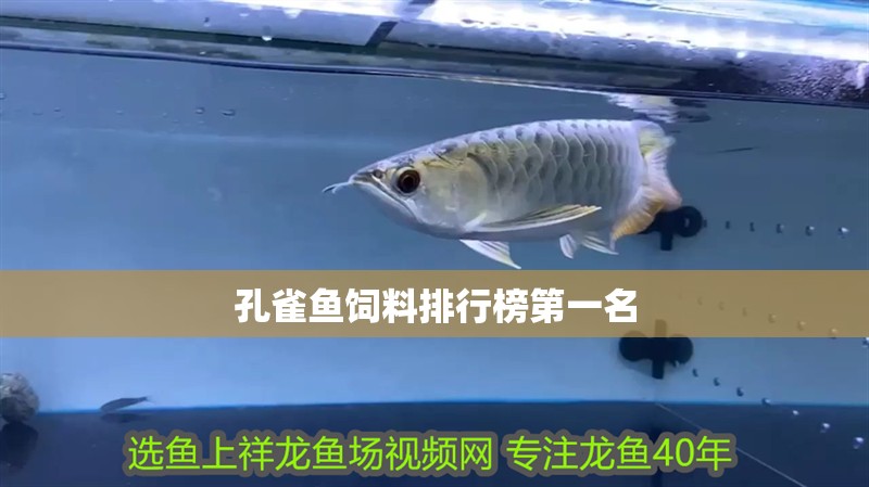 孔雀魚飼料排行榜第一名