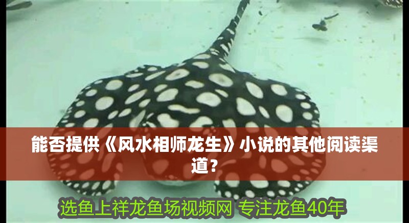能否提供《風水相師龍生》小說的其他閱讀渠道？