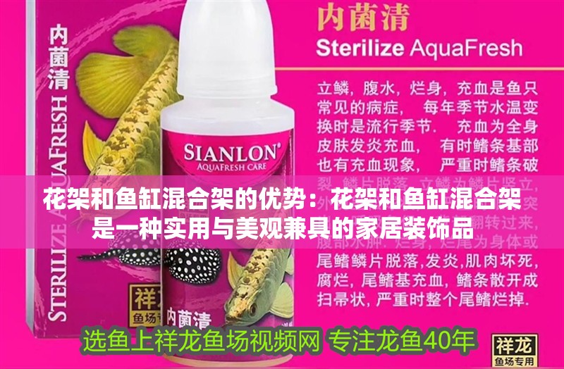 花架和魚缸混合架的優勢：花架和魚缸混合架是一種實用與美觀兼具的家居裝飾品