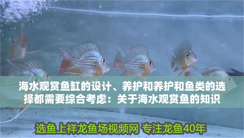 海水觀賞魚缸的設計、養護和養護和魚類的選擇都需要綜合考慮：關于海水觀賞魚的知識 海水觀賞魚缸的設計、養護和養護和魚類的選擇都需要綜合考慮：關于海水觀賞魚的知識 魚缸百科