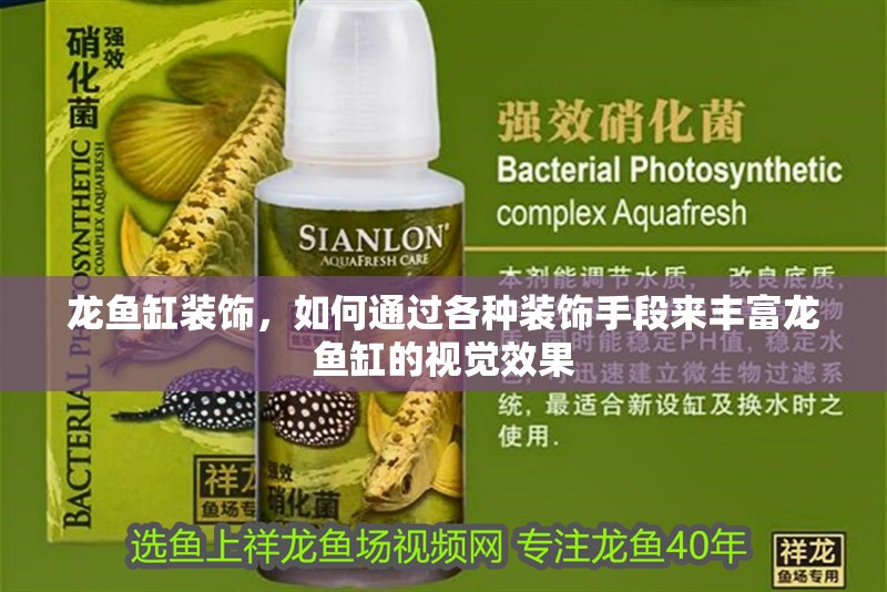 龍魚缸裝飾，如何通過各種裝飾手段來豐富龍魚缸的視覺效果