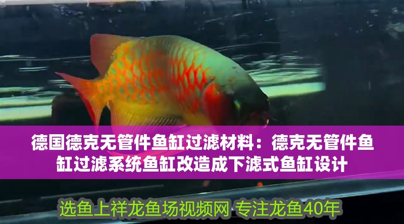 德國(guó)德克無(wú)管件魚(yú)缸過(guò)濾材料：德克無(wú)管件魚(yú)缸過(guò)濾系統(tǒng)魚(yú)缸改造成下濾式魚(yú)缸設(shè)計(jì)