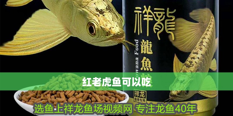 紅老虎魚可以吃