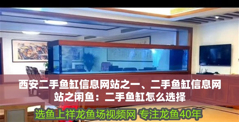 魚缸過濾器選購指南:自制魚缸過濾器魚缸上置過濾器對于養魚愛好者的必備知識 西安二手魚缸信息網站之一、二手魚缸信息網站之閑魚:二手魚缸怎么選擇 魚缸百科 西安二手魚缸信息網站之一、二手魚缸信息網站之閑魚:二手魚缸怎么選擇 西安二手魚缸信息網站之一、二手魚缸信息網站之閑魚:二手魚缸怎么選擇 魚缸百科