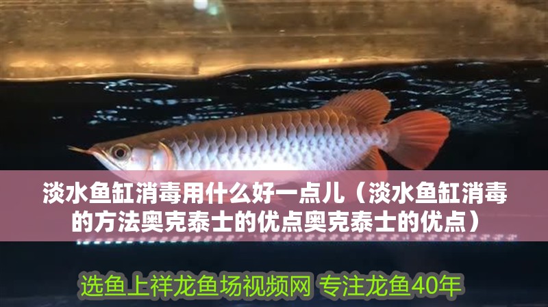 淡水魚缸消毒用什么好一點(diǎn)兒（淡水魚缸消毒的方法奧克泰士的優(yōu)點(diǎn)奧克泰士的優(yōu)點(diǎn)）