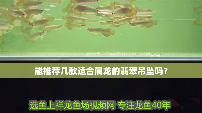 能推薦幾款適合屬龍的翡翠吊墜嗎？