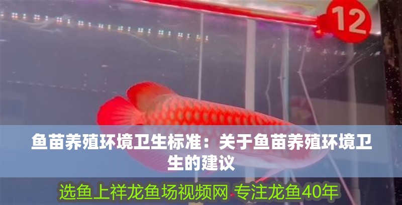 魚苗養殖環境衛生標準：關于魚苗養殖環境衛生的建議