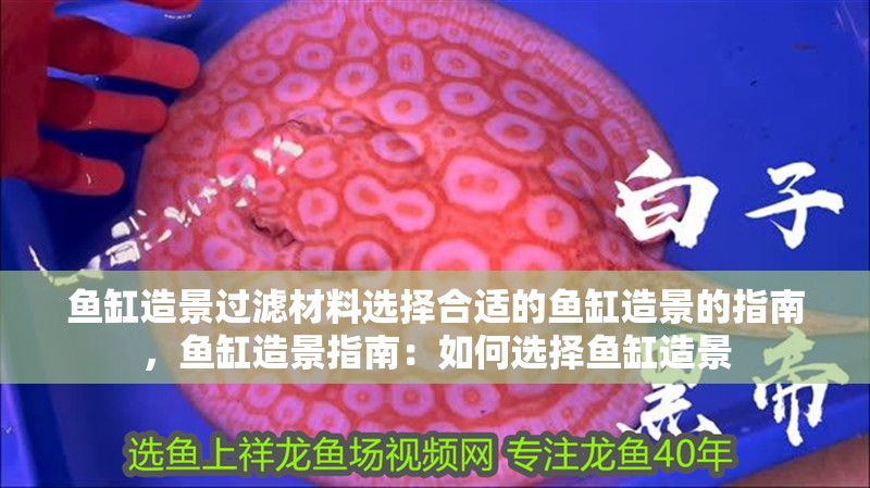 魚缸造景過濾材料選擇合適的魚缸造景的指南，魚缸造景指南：如何選擇魚缸造景
