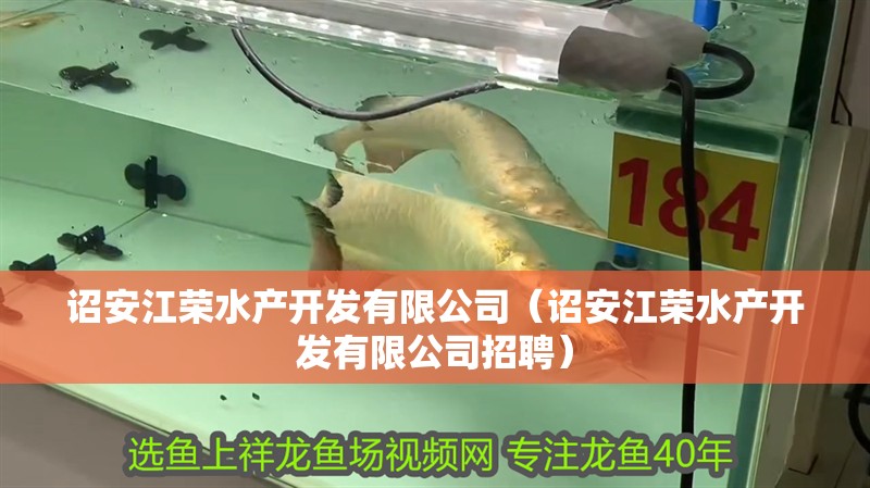 詔安江榮水產開發有限公司（詔安江榮水產開發有限公司招聘）