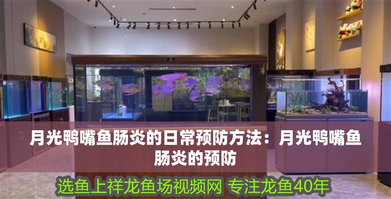 月光鴨嘴魚腸炎的日常預(yù)防方法：月光鴨嘴魚腸炎的預(yù)防