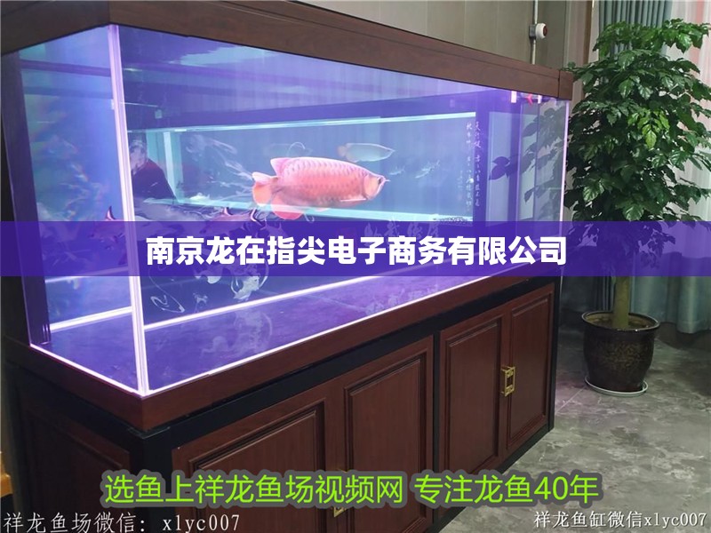 南京龍在指尖電子商務(wù)有限公司