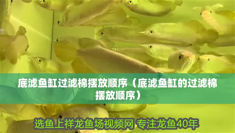 底濾魚缸過濾棉擺放順序（底濾魚缸的過濾棉擺放順序）