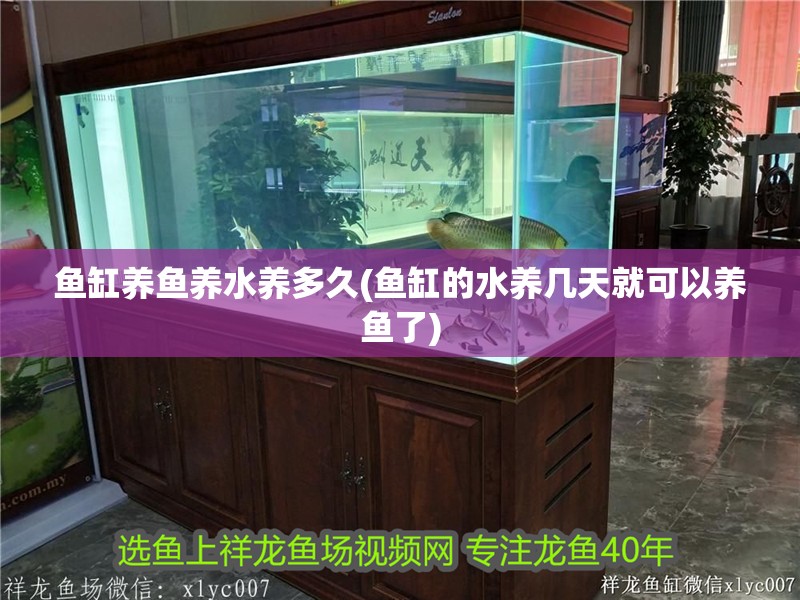 魚缸養魚養水養多久(魚缸的水養幾天就可以養魚了)