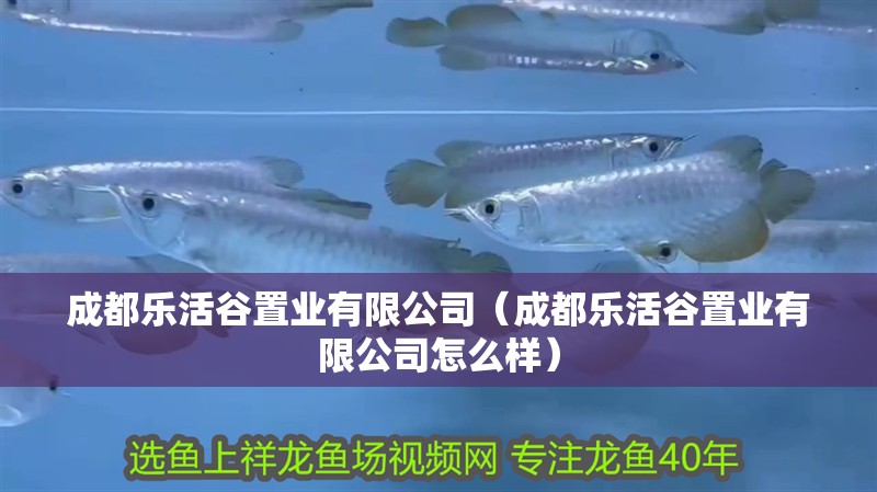 成都樂活谷置業有限公司（成都樂活谷置業有限公司怎么樣）